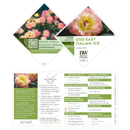 Oso Easy Italian Ice® Rose