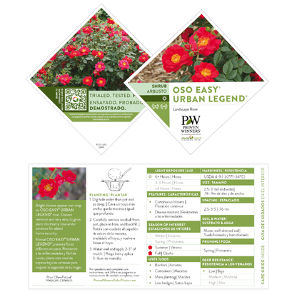 Oso Easy® Urban Legend® Rose