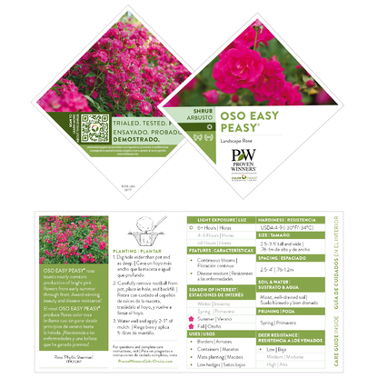 Oso Easy Peasy® Rose
