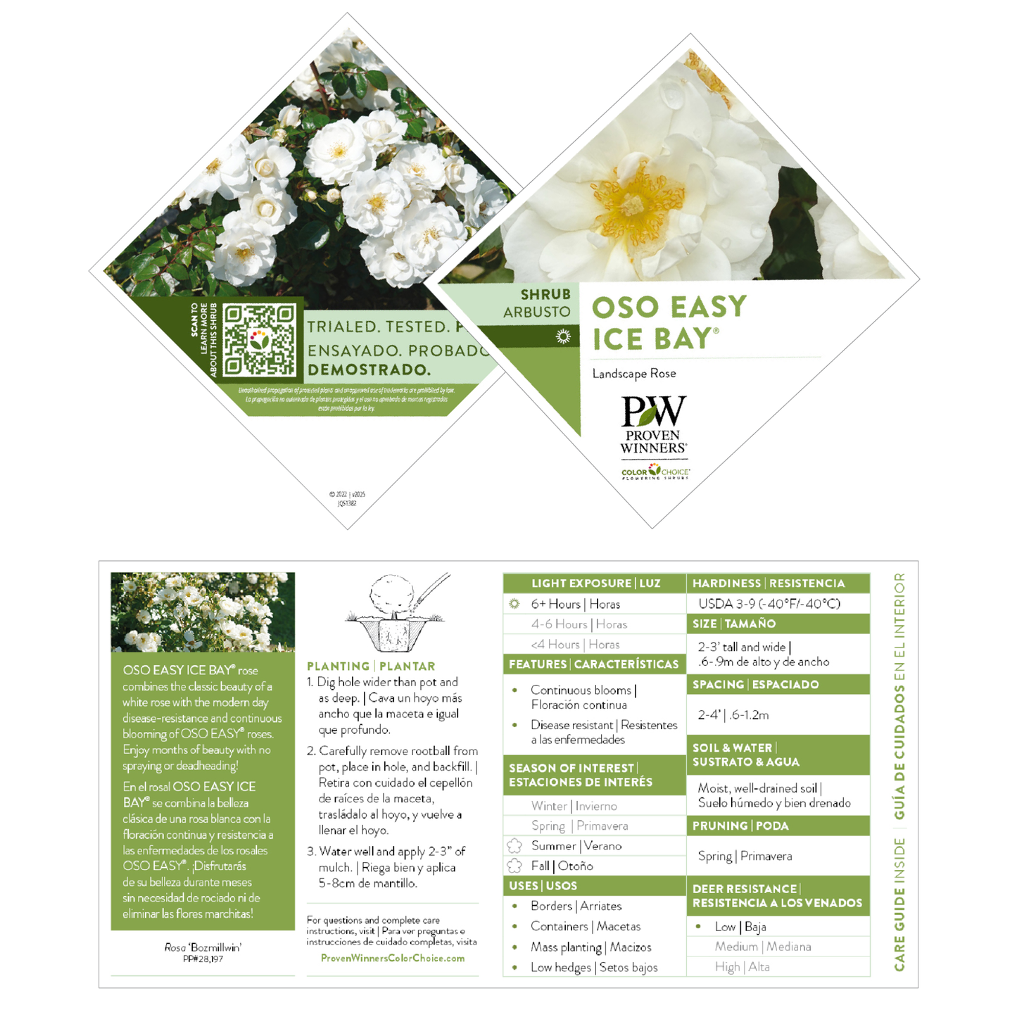 Oso Easy Ice Bay® Rose