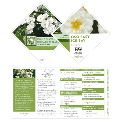 Oso Easy Ice Bay® Rose