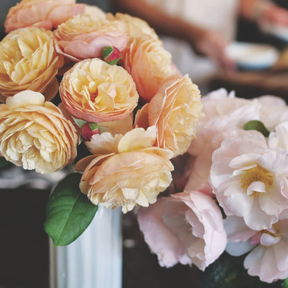 Flavorette® Honey-Apricot Edible Rose