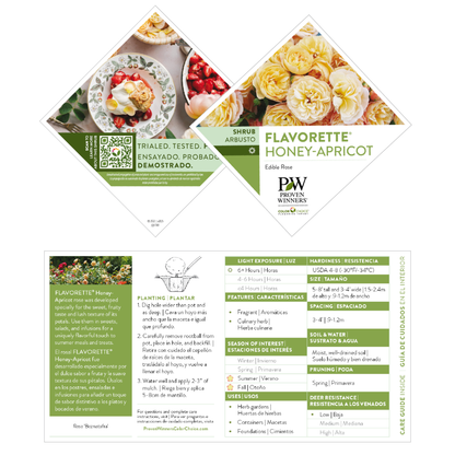 Flavorette® Honey-Apricot Edible Rose
