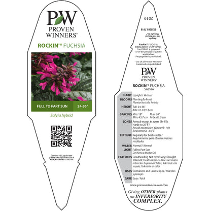 Limited Edition Royale™ | Rockin'® Fuchsia Salvia