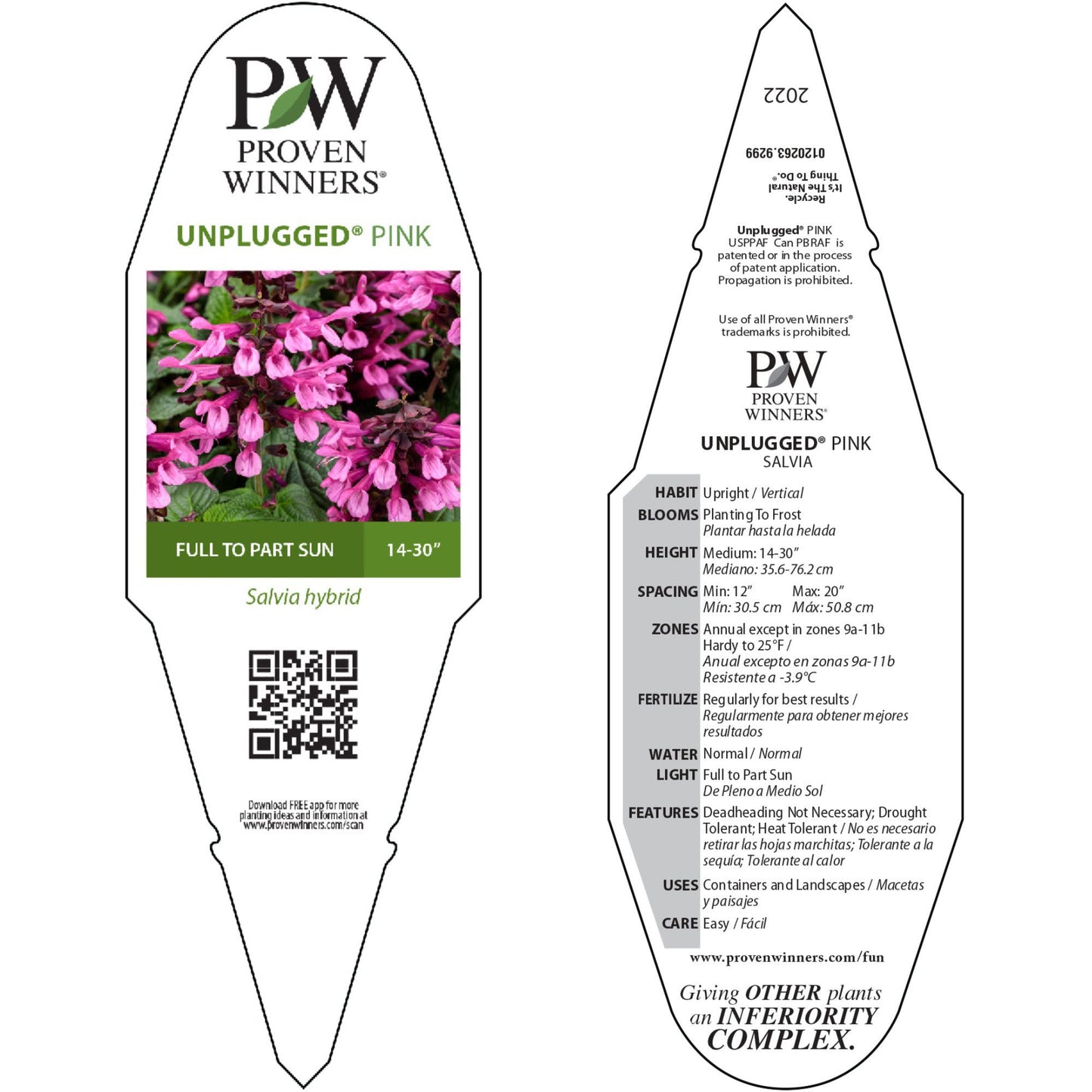 Unplugged® Pink Salvia