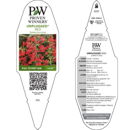 Unplugged® Red Scarlet Sage (Salvia coccinea)