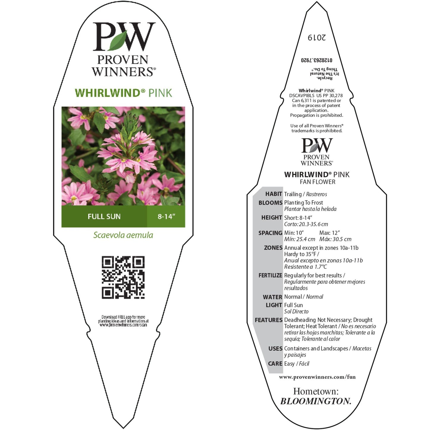 Whirlwind® Pink Fan Flower (Scaevola aemula)