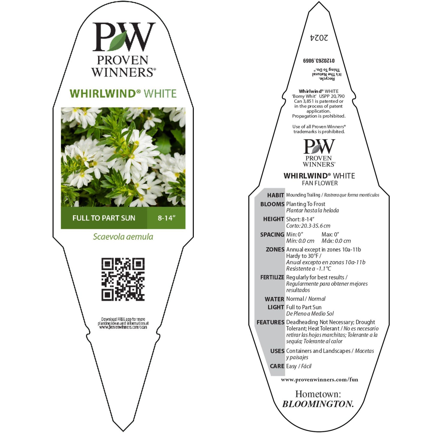 Whirlwind® White Fan Flower (Scaevola aemula)