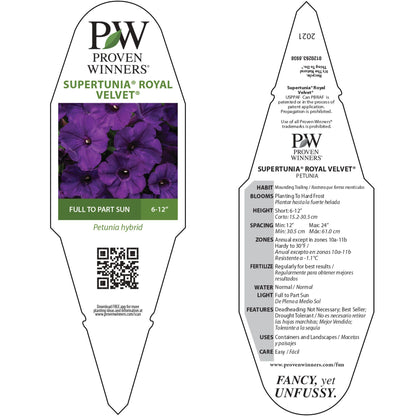 Supertunia® Royal Velvet® Petunia