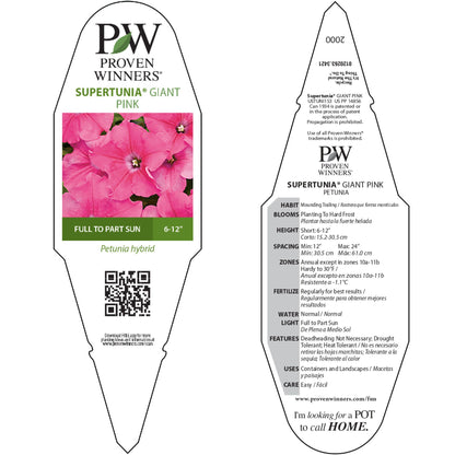 Supertunia® Giant Pink® Petunia