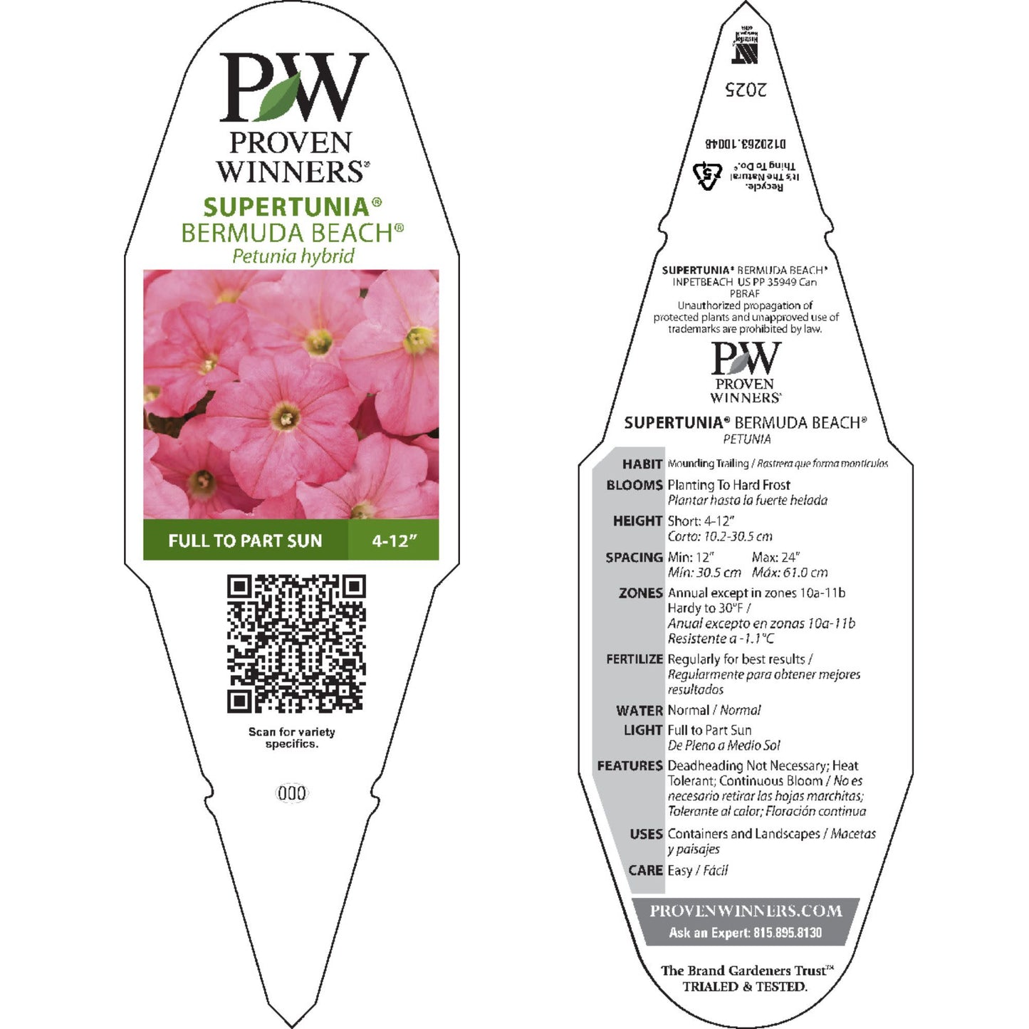 Supertunia® Bermuda Beach® Petunia