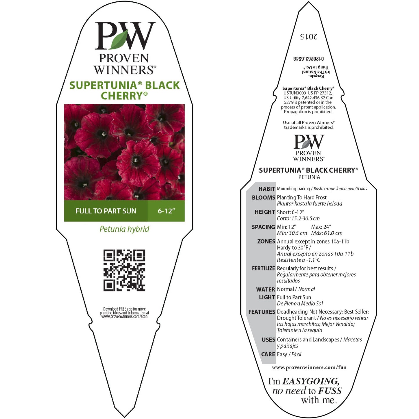 Supertunia® Black Cherry® Petunia