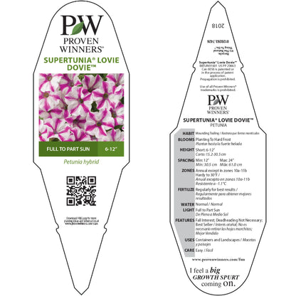 Supertunia® Lovie Dovie™ Petunia