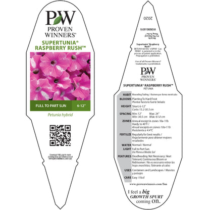 Supertunia® Raspberry Rush™ Petunia