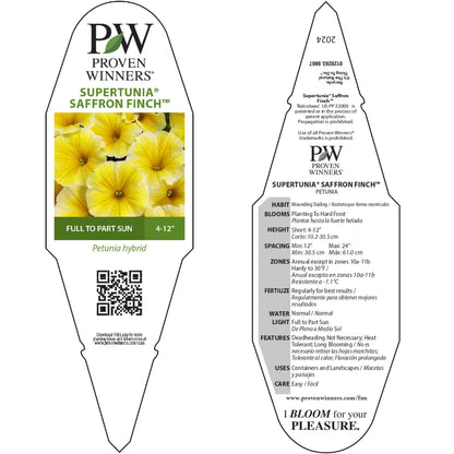 Supertunia® Saffron Finch™ Petunia