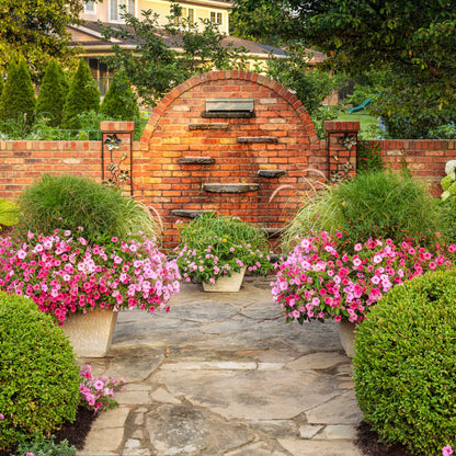 Limited Edition Royale™ | Supertunia Vista® Bubblegum® Petunia