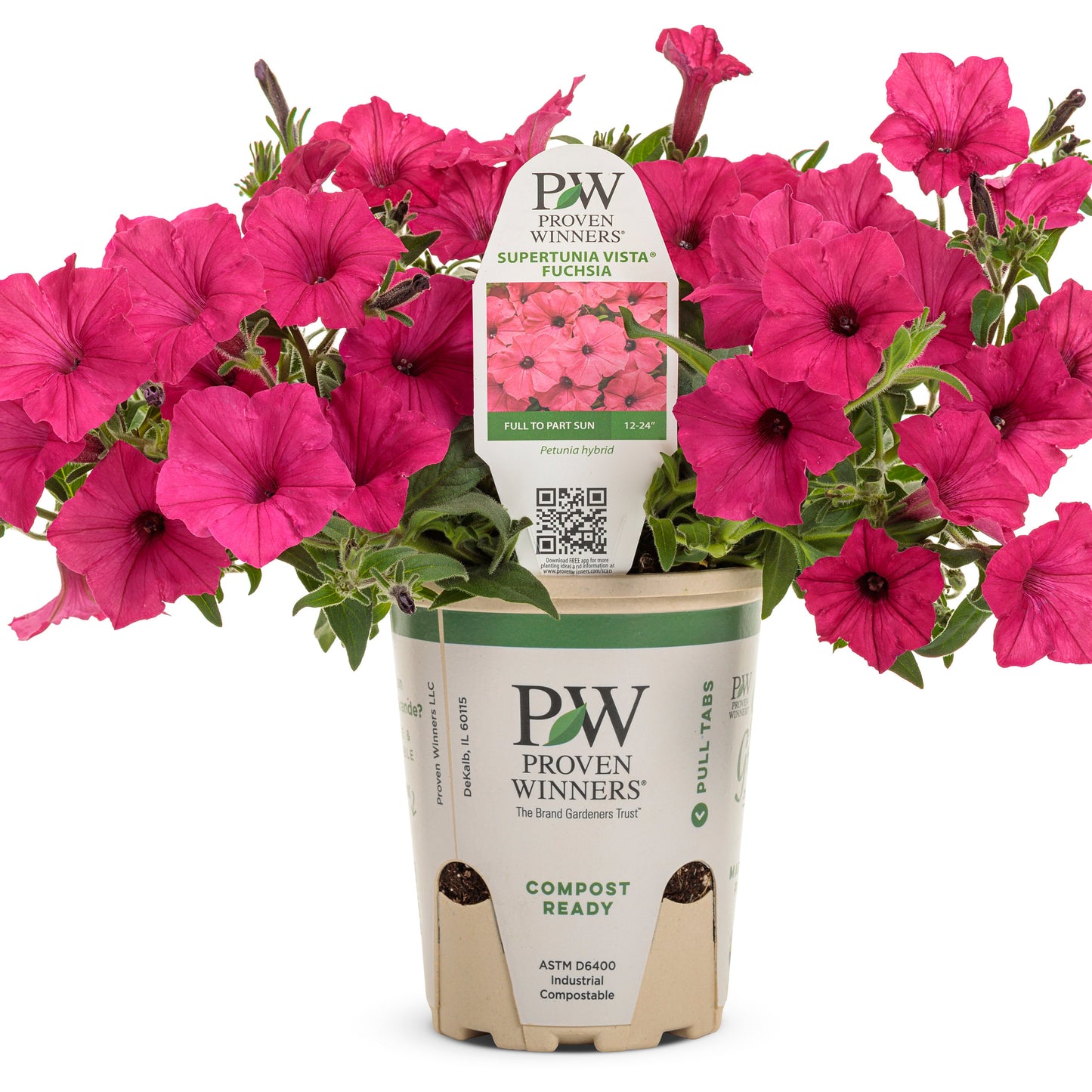 Supertunia Vista® Fuchsia Petunia