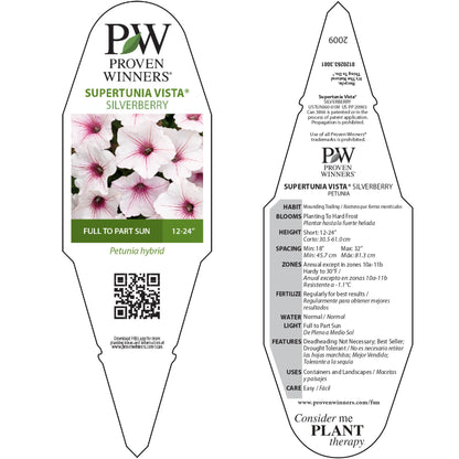 Supertunia Vista® Silverberry Petunia