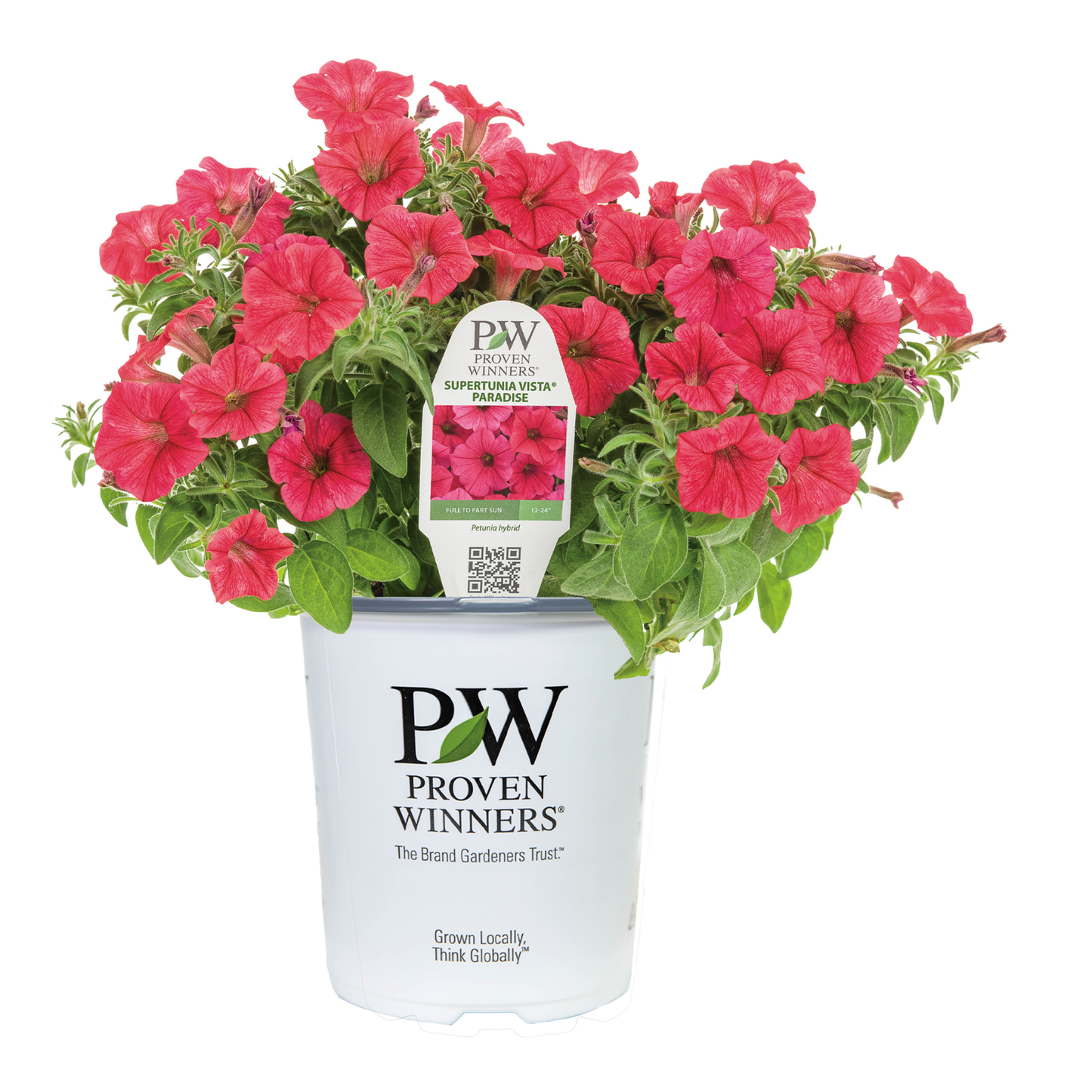 Limited Edition Royale™ | Supertunia Vista® Paradise Petunia