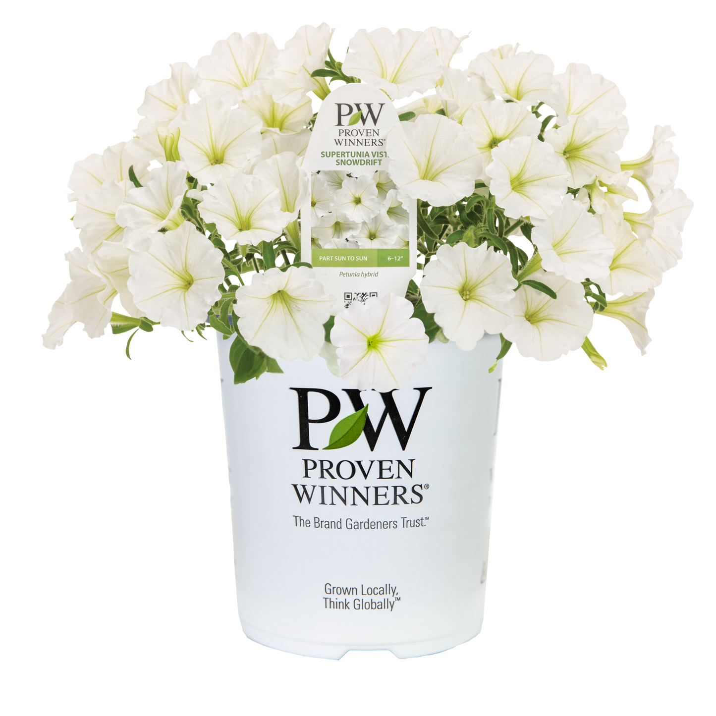 Limited Edition Royale™ | Supertunia Vista® Snowdrift™ Petunia