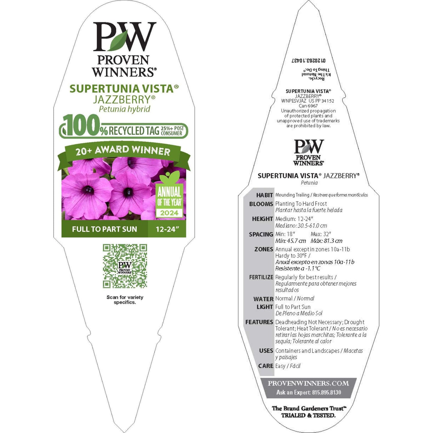Supertunia Vista® Jazzberry® Petunia