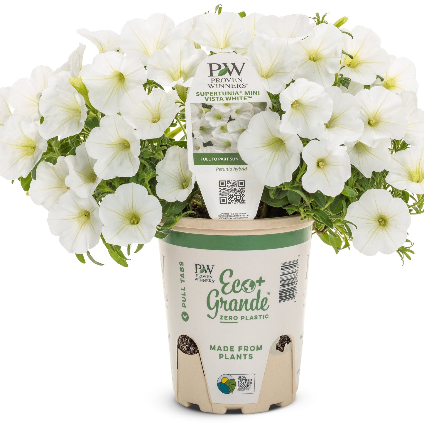 Supertunia Mini Vista® White Petunia