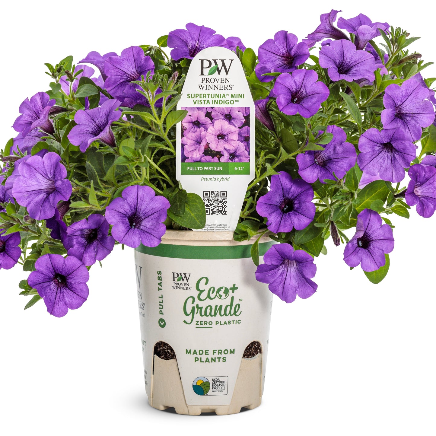 Supertunia Mini Vista® Indigo Petunia