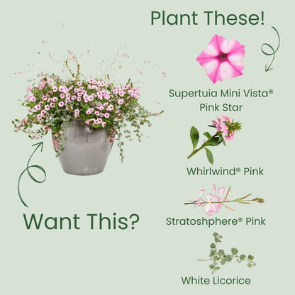 Supertunia Mini Vista® Pink Star Petunia