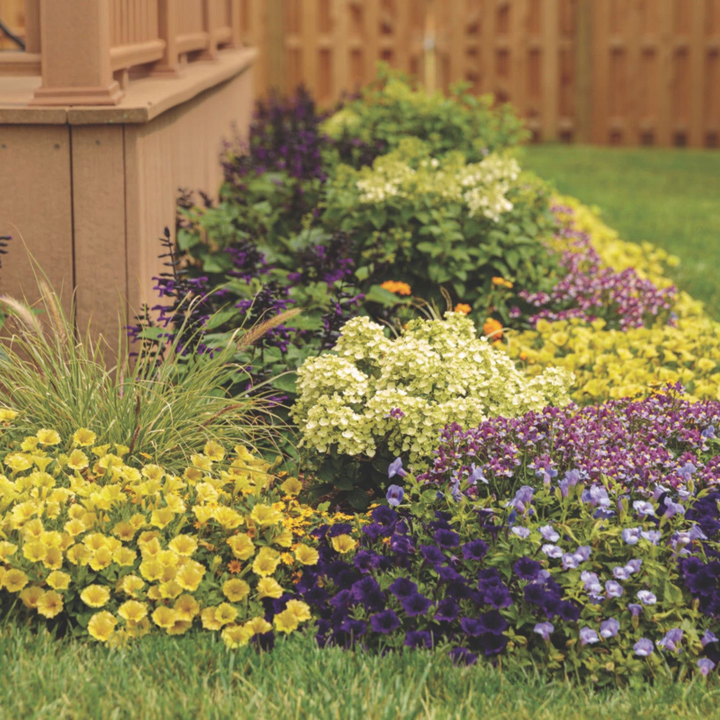 Supertunia Mini Vista® Yellow Petunia