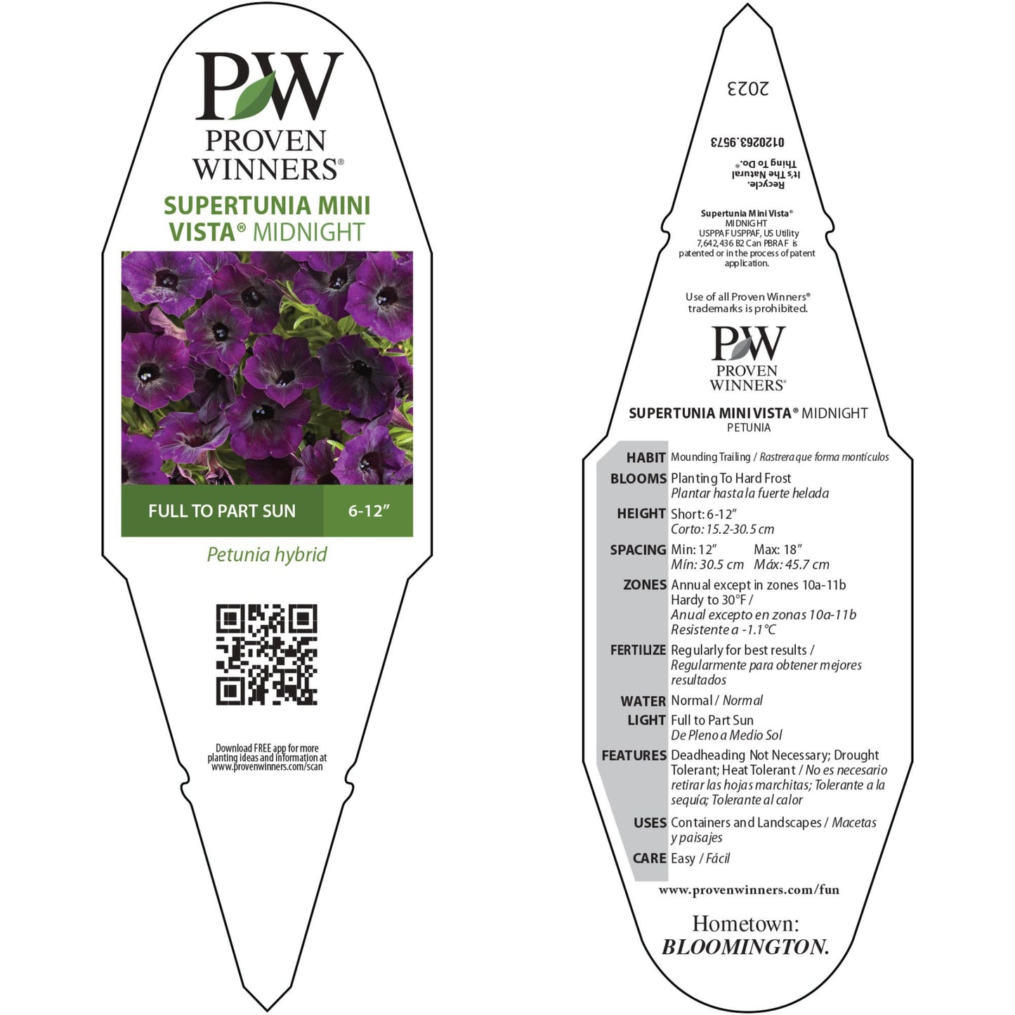 Supertunia Mini Vista® Midnight Petunia