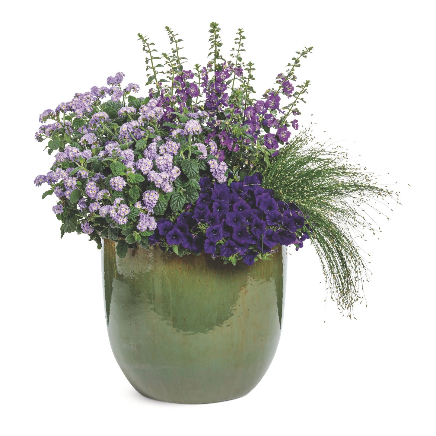 Supertunia Mini Vista® Ultramarine Petunia