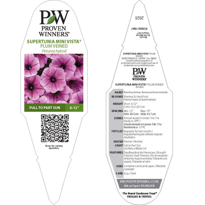 Supertunia Mini Vista® Plum Veined (Petunia hybrid)