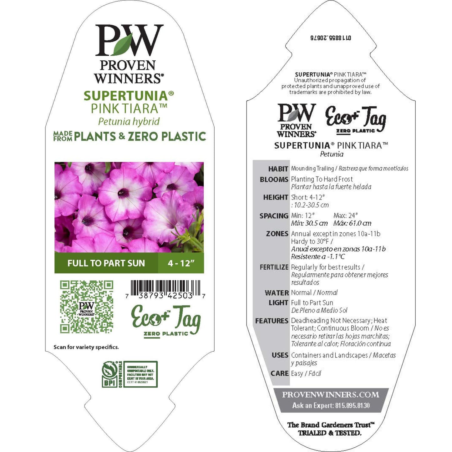 Supertunia® Pink Tiara™ Petunia