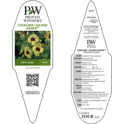 Catalina® Gilded Grape™ Wishbone Flower (Torenia hybrid)