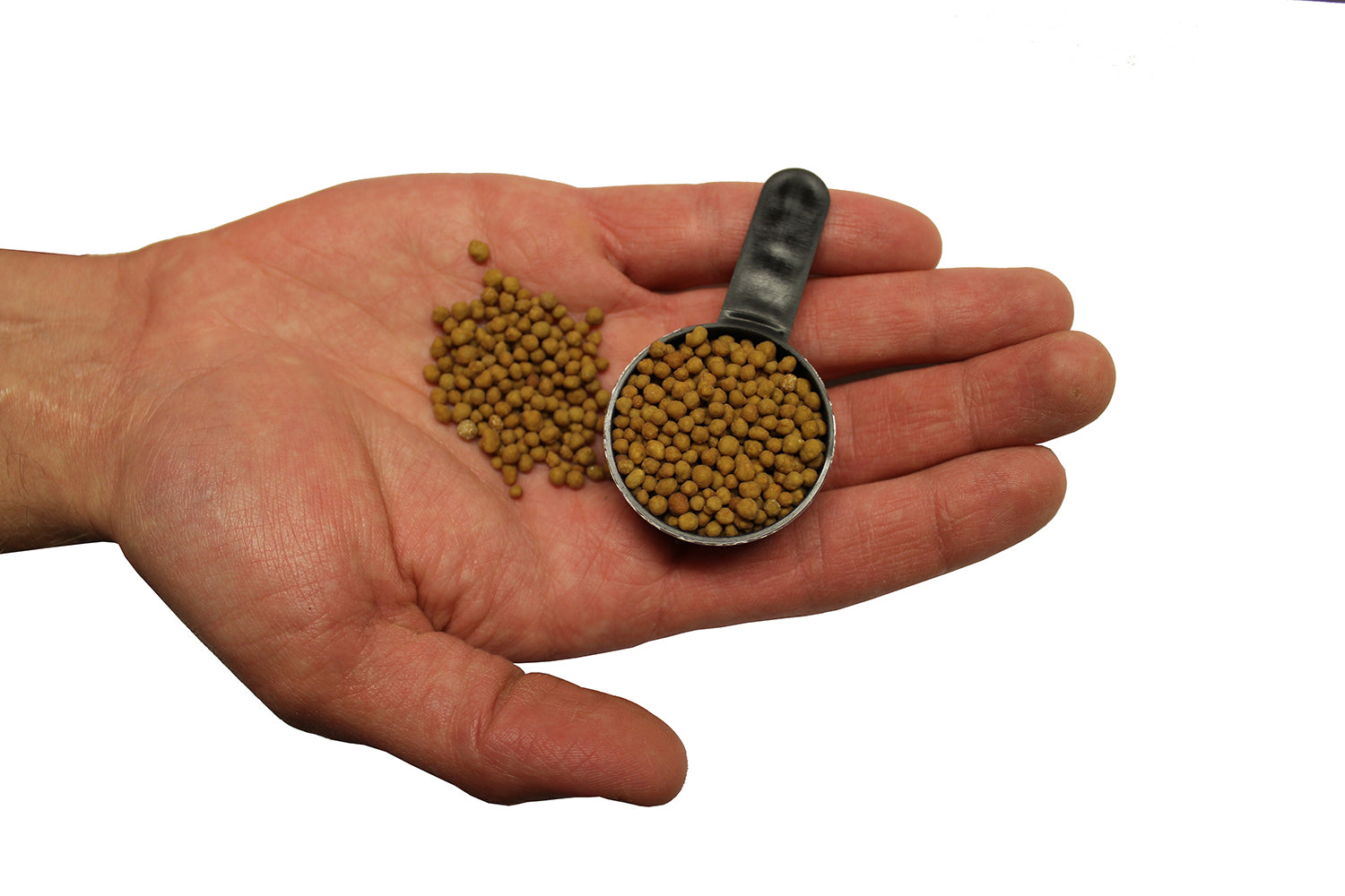 Proven Winners® Hardgoods Plants|Continuous Release Fertilizer, 2.5 lb. 4