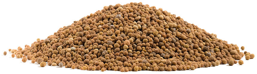 Proven Winners® Hardgoods Plants|Continuous Release Fertilizer, 2.5 lb. 5