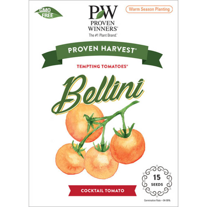Seeds Tempting Tomatoes® Bellini Cocktail Tomato (Solanum lycopersicum)