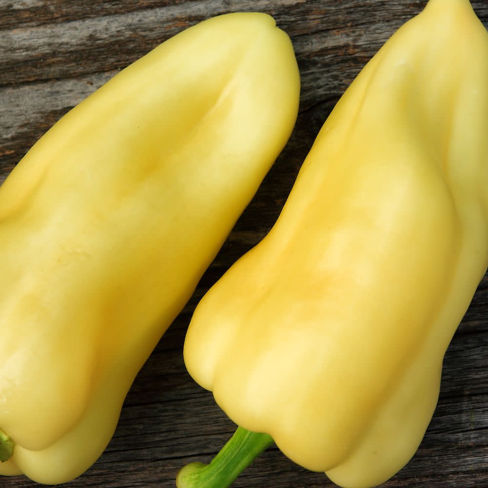 Proven Selections® Hungarian Hot Wax Pepper (Capsicum annuum)