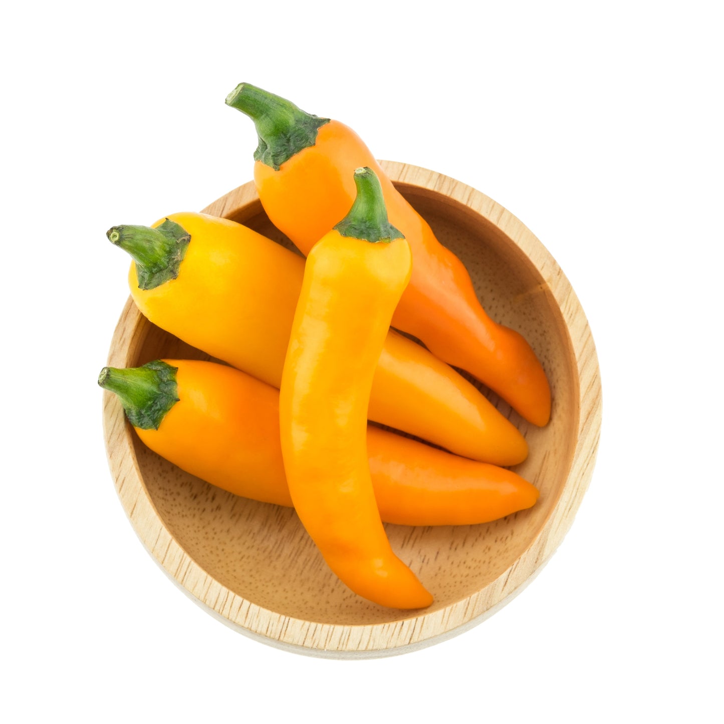 Proven Selections® Hungarian Hot Wax Pepper (Capsicum annuum)