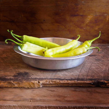 Proven Selections® Hungarian Hot Wax Pepper (Capsicum annuum)