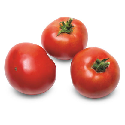 Proven Selections® Tempting Tomatoes® Garden Treasure Slicing Tomato (Solanum lycopersicum)