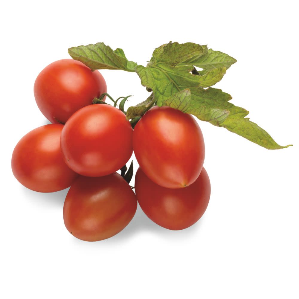 Proven Selections® Tempting Tomatoes® Garden Gem Snack Tomato (Solanum lycopersicum)
