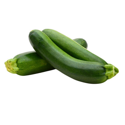 Proven Selections® Black Beauty Zucchini (Cucurbita pepo)