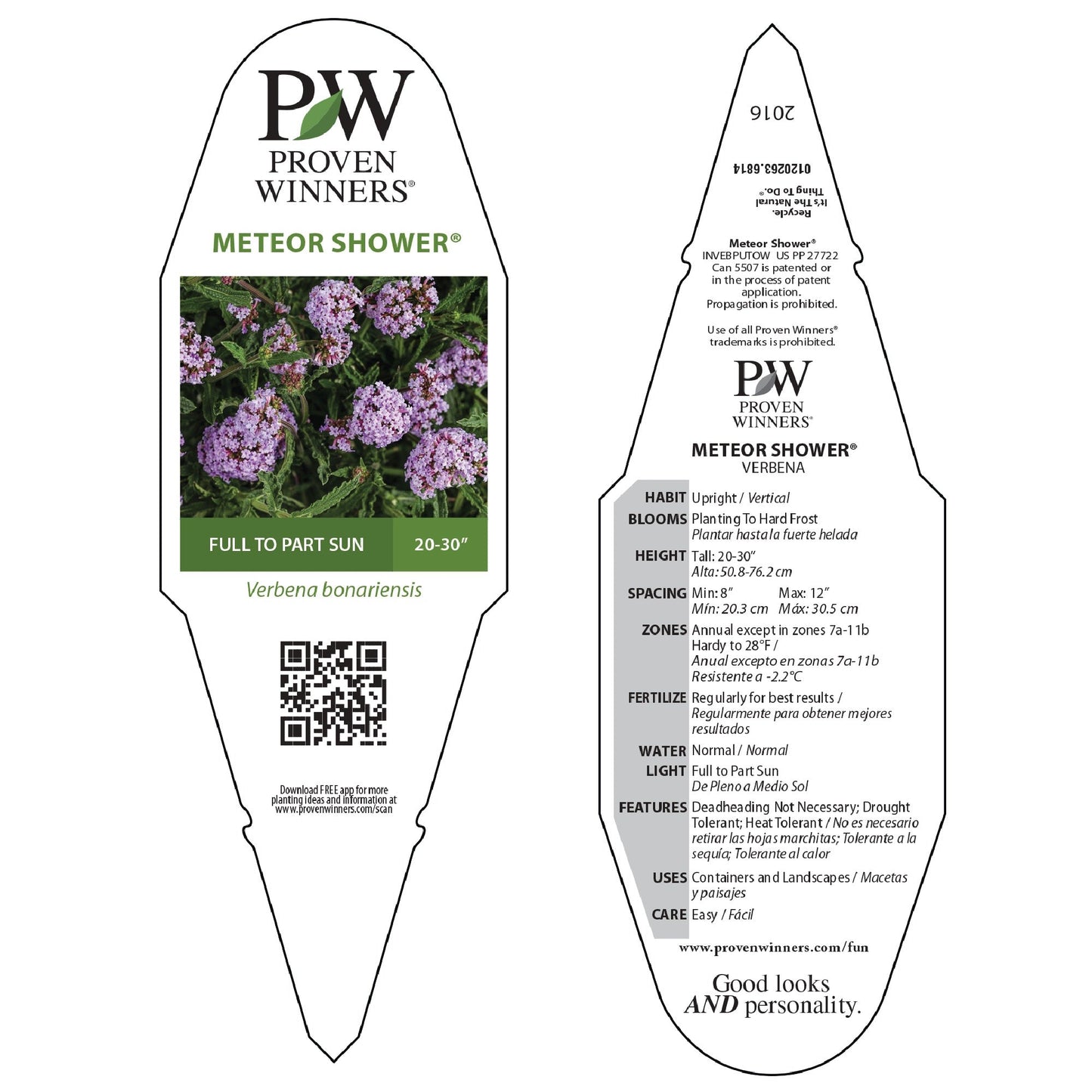 Limited Edition Royale™ | Meteor Shower® (verbena bonariensis)