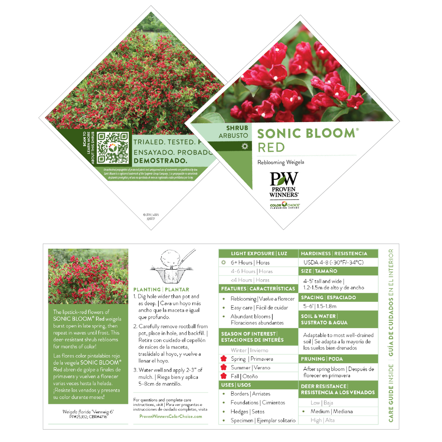 Sonic Bloom® Red Reblooming Weigela (florida)