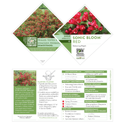 Sonic Bloom® Red Reblooming Weigela (florida)