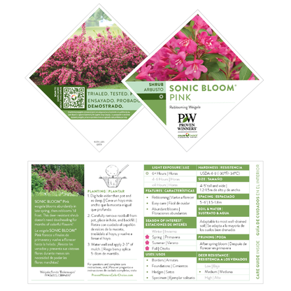 Sonic Bloom® Pink Reblooming Weigela (florida)