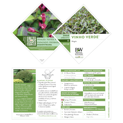 Vinho Verde® Weigela (florida)
