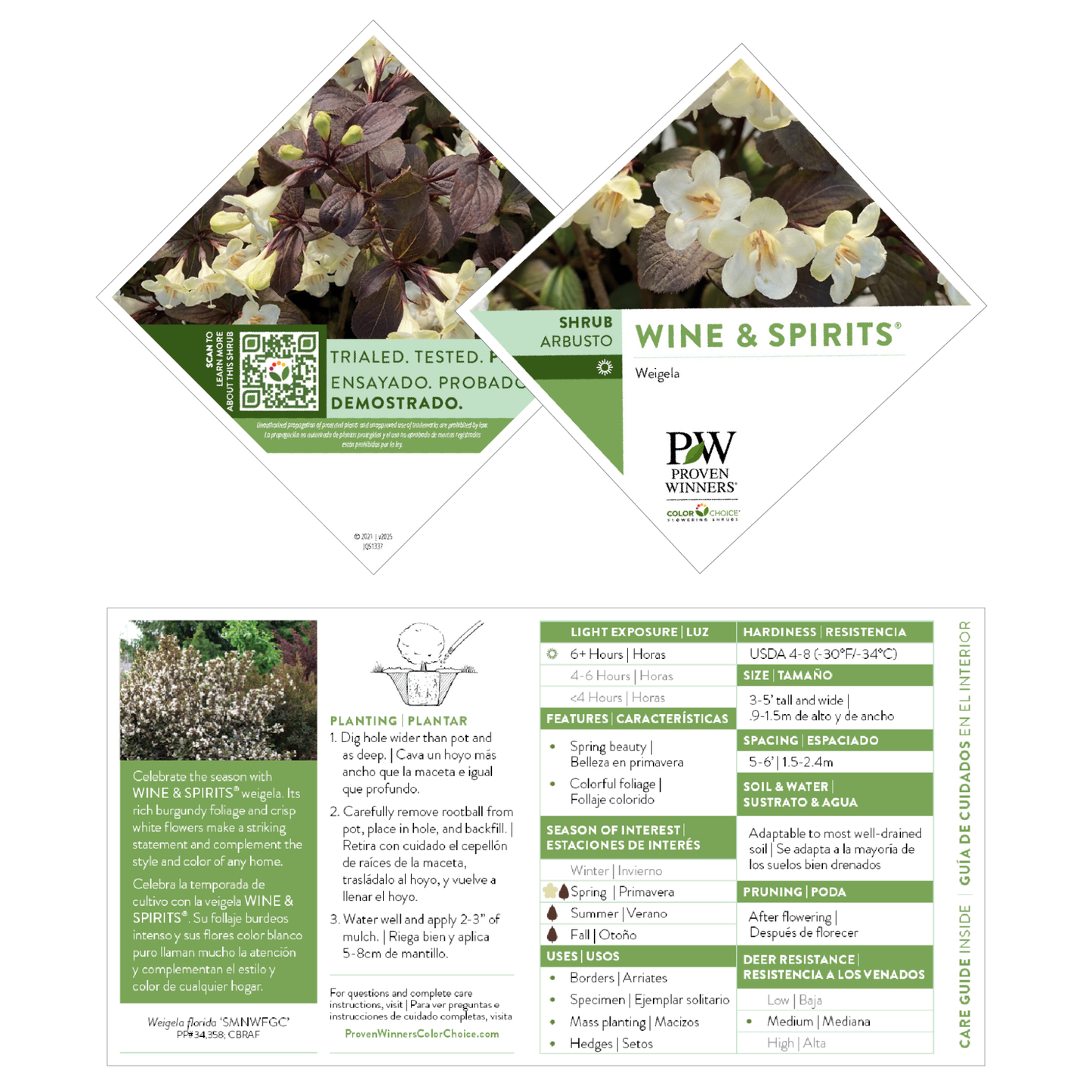 Wine & Spirits® Weigela (florida)