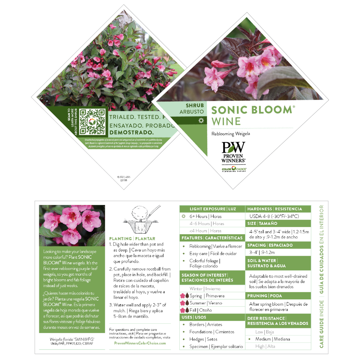 Sonic Bloom® Wine Weigela (florida)
